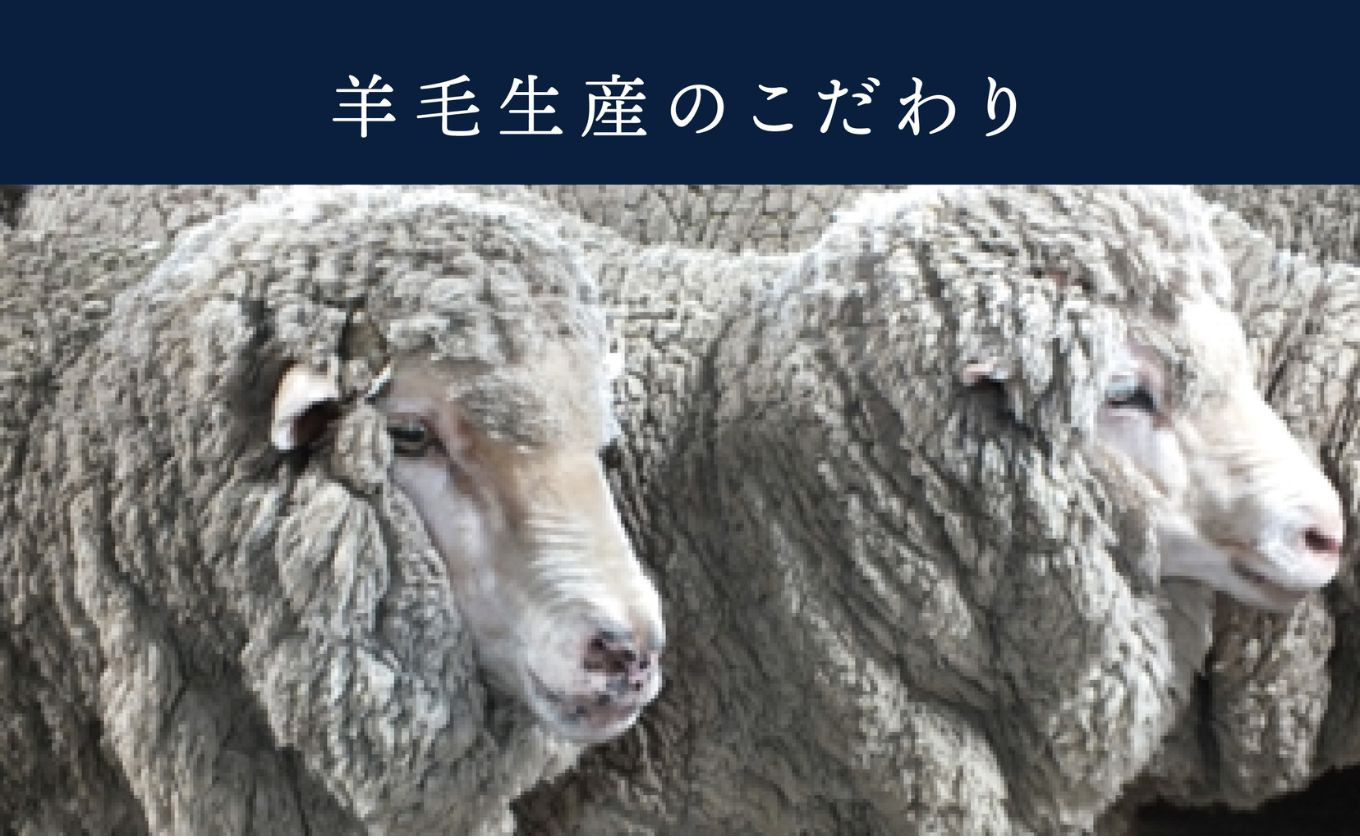 羊毛生産のこだわり。