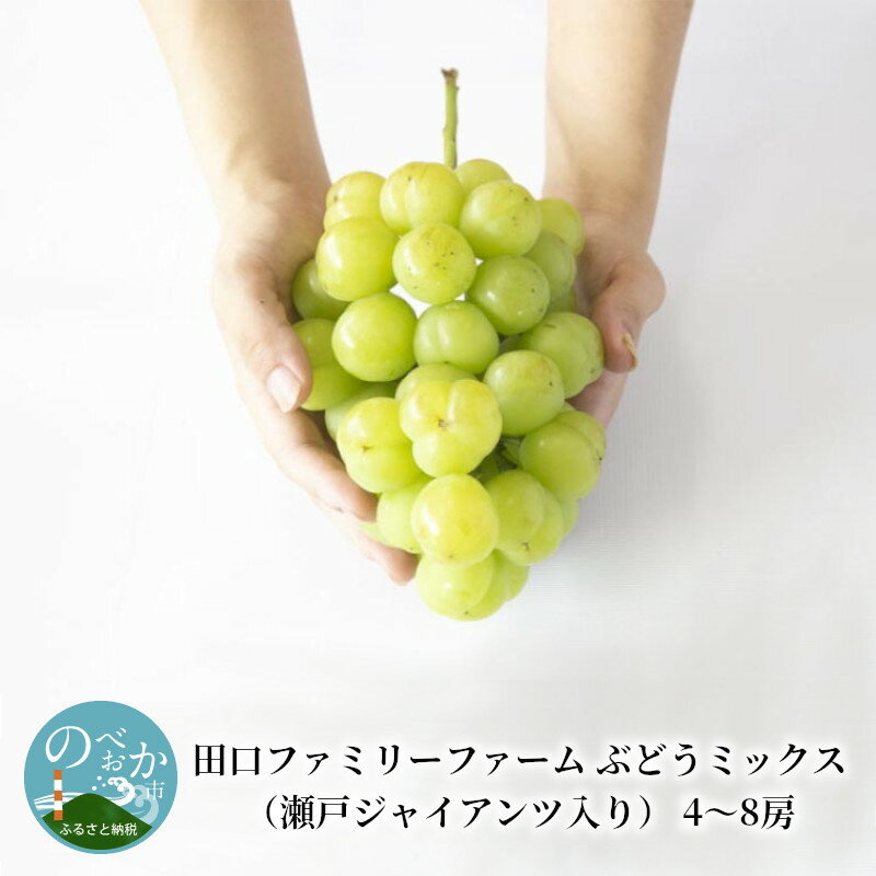 【ふるさと納税】田口ファミリーファーム ぶどうミックス（瀬戸ジャイアンツ入り） 4〜8房 約 3kg 〜 4kg