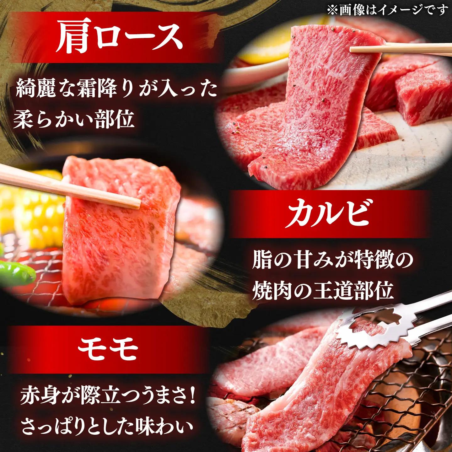 しまね和牛 焼肉セット 900g 肩ロース・カルビ・モモ [AIDI024] 焼肉セット