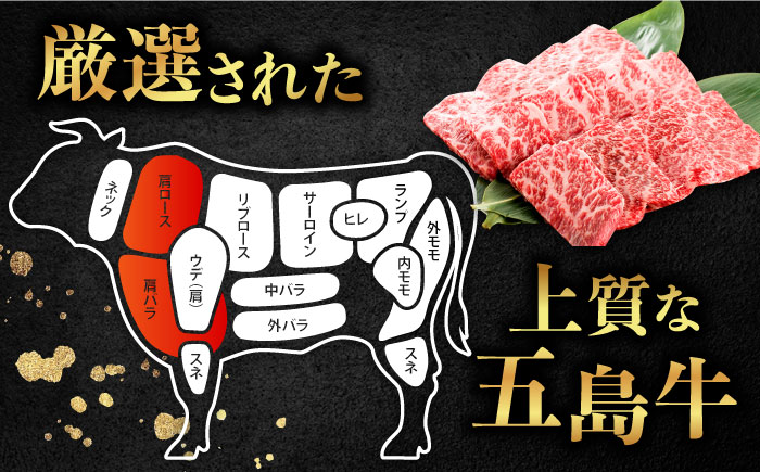 五島牛 焼肉セット 肩ロース バラ 700g  BBQ 五島市/ごとう農業協同組合 [PAF001]