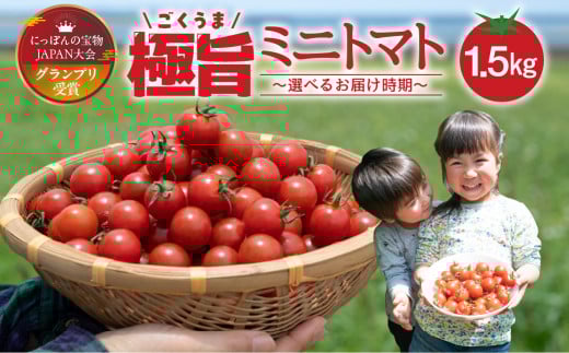 【年内配送】グランプリ受賞 完熟 出汁推し実 ミニトマト 1.5kg 年内発送 年末配送 年末発送
