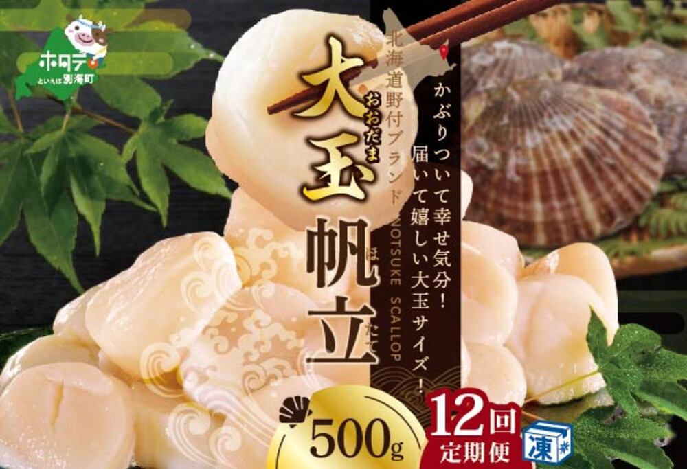 【毎月12ヶ月定期便】北海道 野付産  冷凍ホタテ貝柱 届いて嬉しい 大玉 ホタテ 500g 全 12回 水産事業者支援
