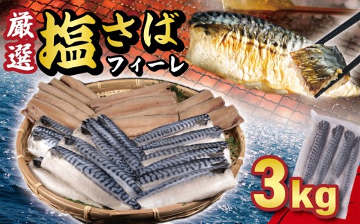 塩サバフィーレ 約3kg ノルウェー産 冷凍 ｻﾊﾞ 鯖 塩サバ 塩鯖 海鮮 魚 訳なし 正規品 大容量 青魚 おかず 惣菜 魚介 おつまみ 弁当 人気 冷凍食品 グルメ 贈答 贈物 ギフト 長期保存 小分け お取り寄せ BBQ ふるさと納税 ふるさと納税サバ 送料無料 千葉県 銚子市 大一奈村魚問屋