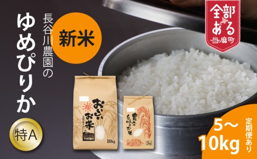 【新米】長谷川農園　特Aゆめぴりか　令和8年産　5kg×3回コース【定期便】