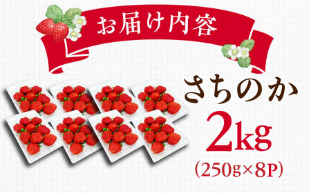 【2025年発送分 先行予約】【ビタミンC豊富な濃厚いちご】さちのか 2kg（250g×8パック） / 苺 イチゴ いちご フルーツ 果物 / 佐賀県 / さかもとさんの畑[41ABAA009]