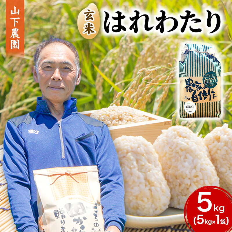 【ふるさと納税】令和8年産 先行予約 はれわたり 玄米 5kg 1袋 5kg×1袋 青森県鰺ヶ沢町産 単一原料米 青森米 ご飯 お米 おこめ コメ ごはん 特A獲得 品種 山下農園 自然豊かな風土 ミネラル豊富な澄んだ伏流水 白神山地　お届け：2026年10月上旬より順次出荷