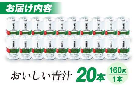 おいしい青汁10本セット×２