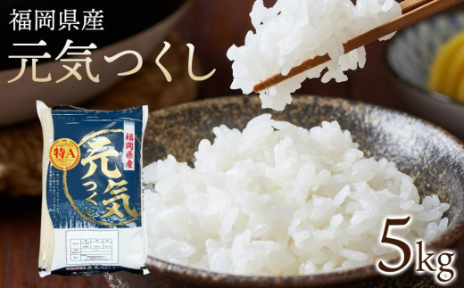 
                  【令和7年産】福岡県産ブランド米「元気つくし」白米　5kg【米 ブランド米 ブランド 白米 元気つくし 令和7年産 家庭用 お取り寄せ お土産 福岡県産 取り寄せ グルメ 福岡県 大任町 AS047】
                
