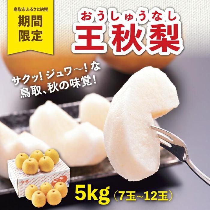 【ふるさと納税】王秋梨 5kg【やぶやフルーツガーデン】 | 鳥取 梨 なし 王秋梨 期間限定 送料無料 鳥取県 鳥取市