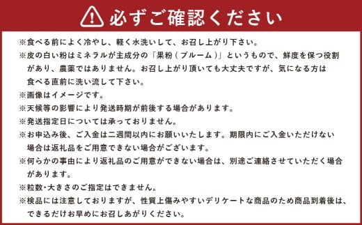 【 3回定期便 】 大粒ぶどうの詰合せ 約2kg×3回 計約6kg シャインマスカット マスカット ブドウ ぶどう 葡萄 果物 くだもの ピオーネ クイーンニーナ 定期便 詰合せ 大粒 【 2026年