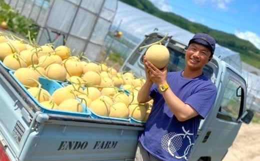 
            【2026年発送】遠藤ファームの中富良野メロン青肉大玉 １玉（1.6kg以上）
          