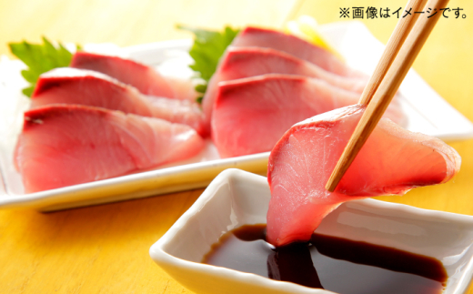 醤油 釣りキチ醤油 3本セット | 贈答用 お土産 美味しい 料理 料理用 しょうゆ 3本 3本セット 詰め合わせ セット 贈答用 ギフト 贈り物 プレゼント お祝い お中元 お歳暮 お土産 手土産 