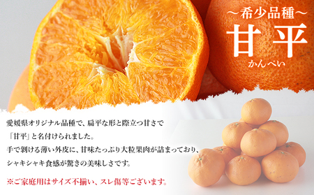 ＜愛媛県西予市産 甘平 家庭用 豊作 サンキューパック 合計約4.9kg（3.9kg＋1kg）＞ 訳あり ワケアリ 大粒果肉 柑橘 果物 フルーツ くだもの みかん ミカン 国産 サイズ不揃い 傷あり