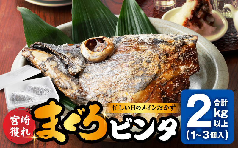 【宮崎獲れ】まぐろビンタ 頭 兜焼き キハダマグロ