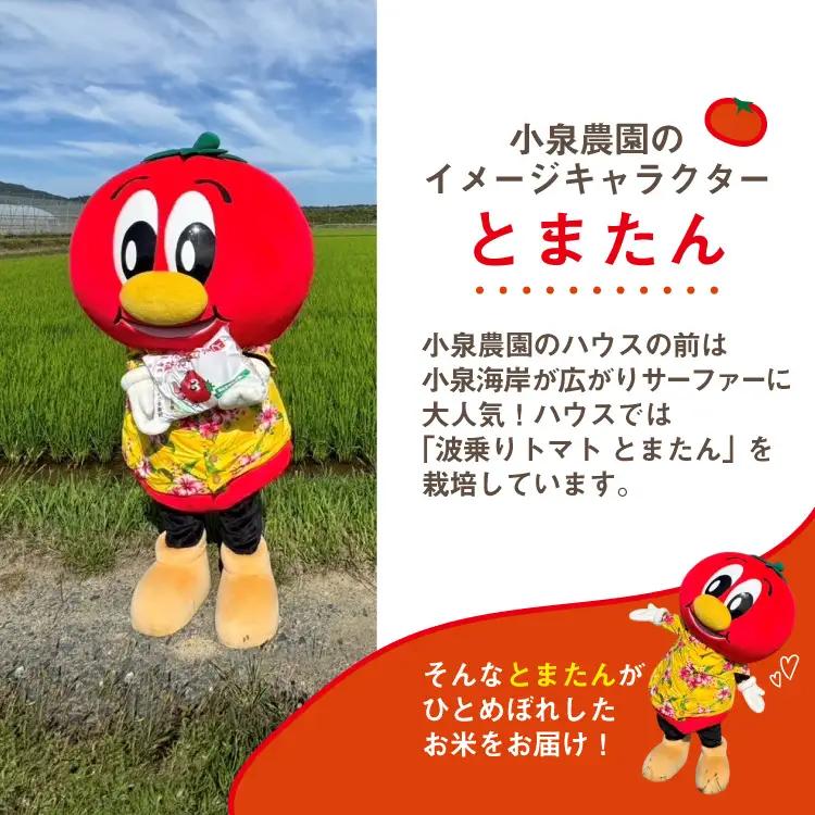 3回 定期便 米 宮城県産 とまたんのひとめぼれ 10kg (5kg×2袋) 総計30kg 