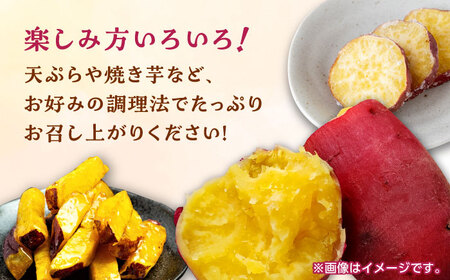 さつまいも 紅はるか or シルクスイート 蜜芋 5kg【合同会社 福福堂】さつまいも サツマイモ さつま芋 熊本県産さつまいも 国産さつまいも 焼き芋 やきいも  [ZCN013]