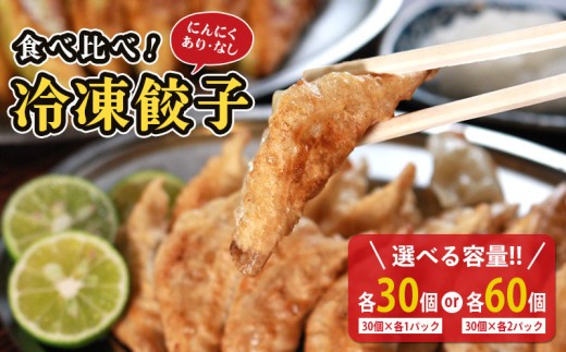 
                  冷凍餃子 選べる容量 にんにくあり なし 食べ比べセット 各1個 2個  餃子 セット ぎょうざ ギョウザ にんにく 青森 肉 お肉 豚肉 豚 鶏肉 鳥 おつまみ 加工品 肉汁 惣菜 お弁当 冷凍ストック 寺岡商店 香川県 丸亀市
                
