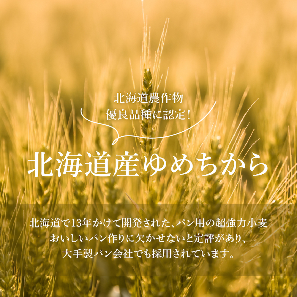 【北海道産小麦】ゆめちからブレンド粉（強力粉）500g×8袋【290003】