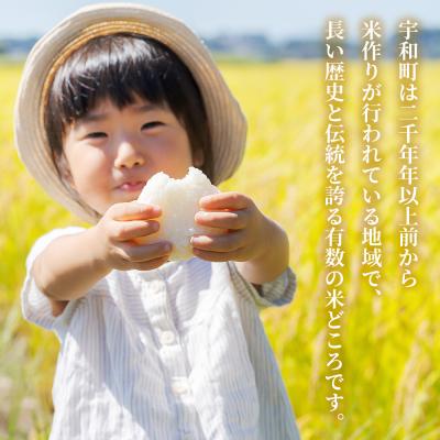 ふるさと納税 西予市 【先行受付】新米<令和8年産 愛媛県西予市産 コシヒカリ 10kg> お米 もとき農園 |  | 03