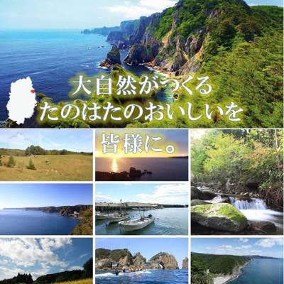 ふるさと納税 田野畑村 【予約・7月中旬〜発送】三陸生うに　180g×1本　国立公園・田野畑村から(瓶入りミョウバン不使用) |  | 03