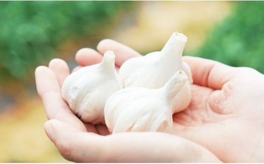 EA09 【栄養満点！】ニンニク卵黄【浅田峠自然塾】-5