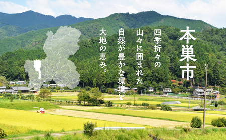 季節の野菜セットA 6～8品目  お届け回数  3回  お届け 定期便 3か月  品目おまかせ BBQ 春 夏 秋 冬 野菜 料理 自宅用 岐阜県産 本巣市 新鮮 やさい 数量限定 冷蔵 道の駅 織部