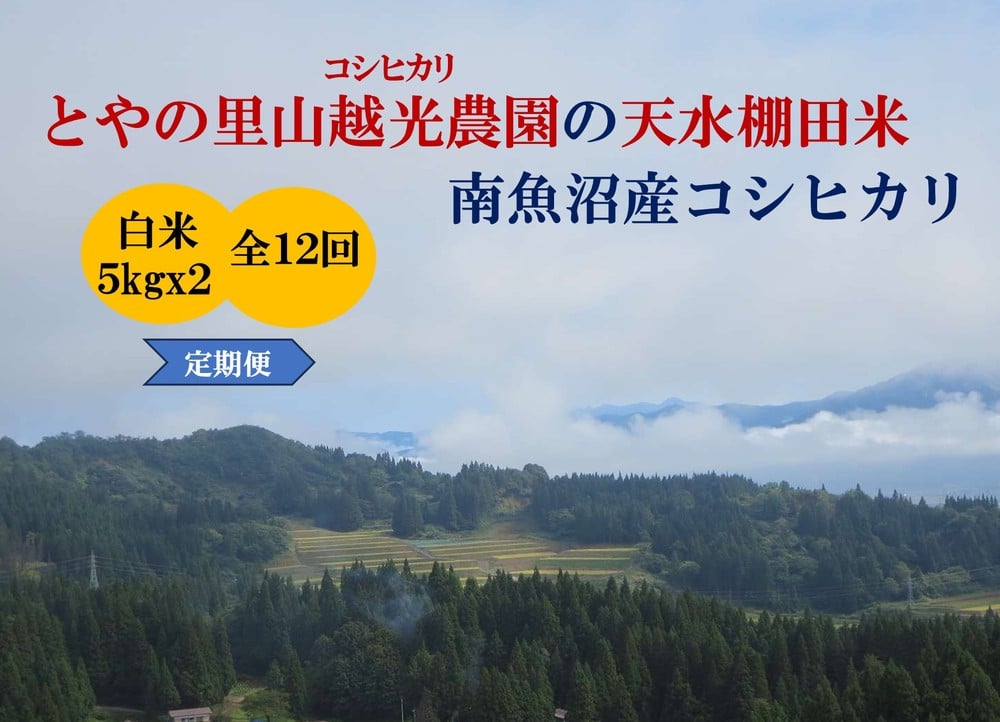 
            【令和7年産新米予約】【定期便】とやの里山越光農園「天水棚田米」南魚沼塩沢産コシヒカリ　精米10kg(5kgx2)x全12回【2025年12月下旬より順次発送予定】
          