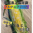 【ふるさと納税】【先行予約2025年夏発送】上里町産とうもろこし　ドルチェドリーム2L×10本　計5kg(梱包込み)【配送不可地域：離島】【1564849】