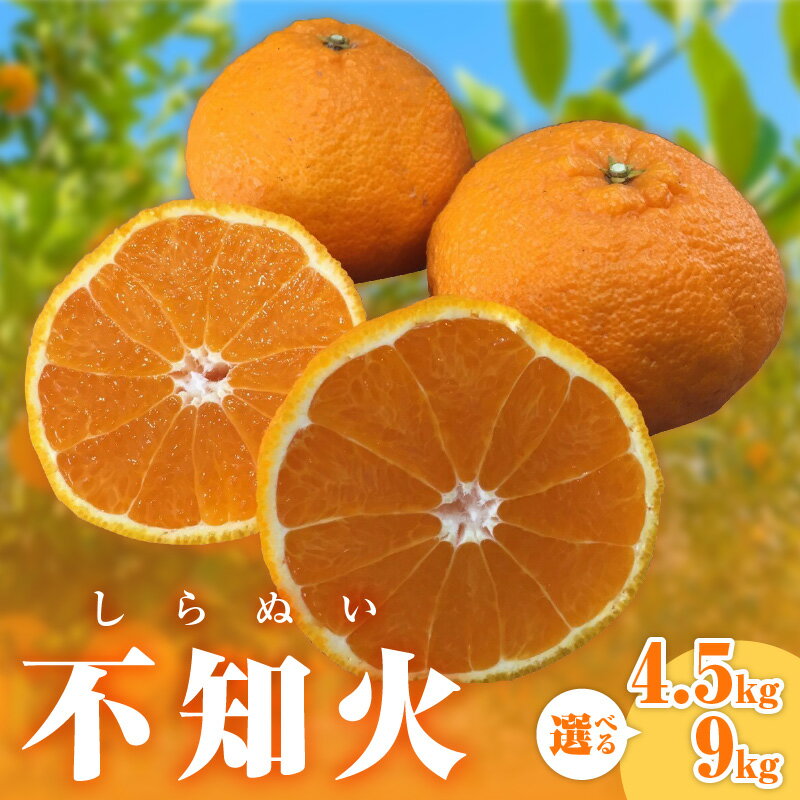 【ふるさと納税】【先行予約】ミカファーム 不知火 4.5kg 9kg 春頃発送 三重県 御浜町産【ジューシーで濃厚な味わい】