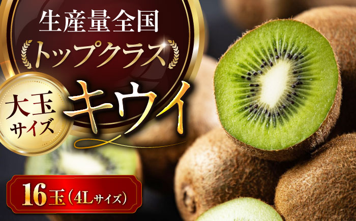【先行予約】【2026年2月中旬から順次発送】【期間・数量限定】食べ応え抜群！愛媛県産　キウイフルーツ 赤秀4L大玉サイズ （16玉入り） フルーツ キウイ キウイフルーツ デザート 愛媛県大洲市/愛媛たいき農業協同組合[AGAO002]