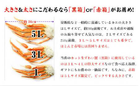 [024-j001] 【4か月連続お届け】カット生ずわい蟹 内容量1000g／総重量1300g