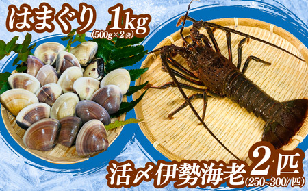 【9月以降順次発送】 伊勢海老 活〆冷凍伊勢海老 250-300g × 2匹 ・冷凍はまぐり 500g × 2p セット ｴﾋﾞ ｴﾋﾞ ｴﾋﾞ ｴﾋﾞ ﾊﾏｸﾞﾘ ﾊﾏｸﾞﾘ