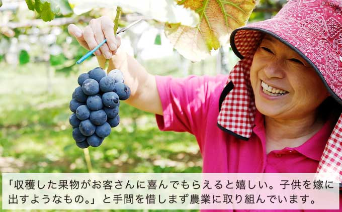 「収穫した果物がお客さんに喜んでもらえると嬉しい。子供を嫁に出すようなもの。」と手間を惜しまず農業に取り組んでいます。