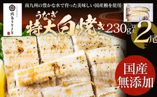 【丑の日2回目にお届け】うなぎの特大白焼き（2尾）230g以上×2尾　AE05-u2