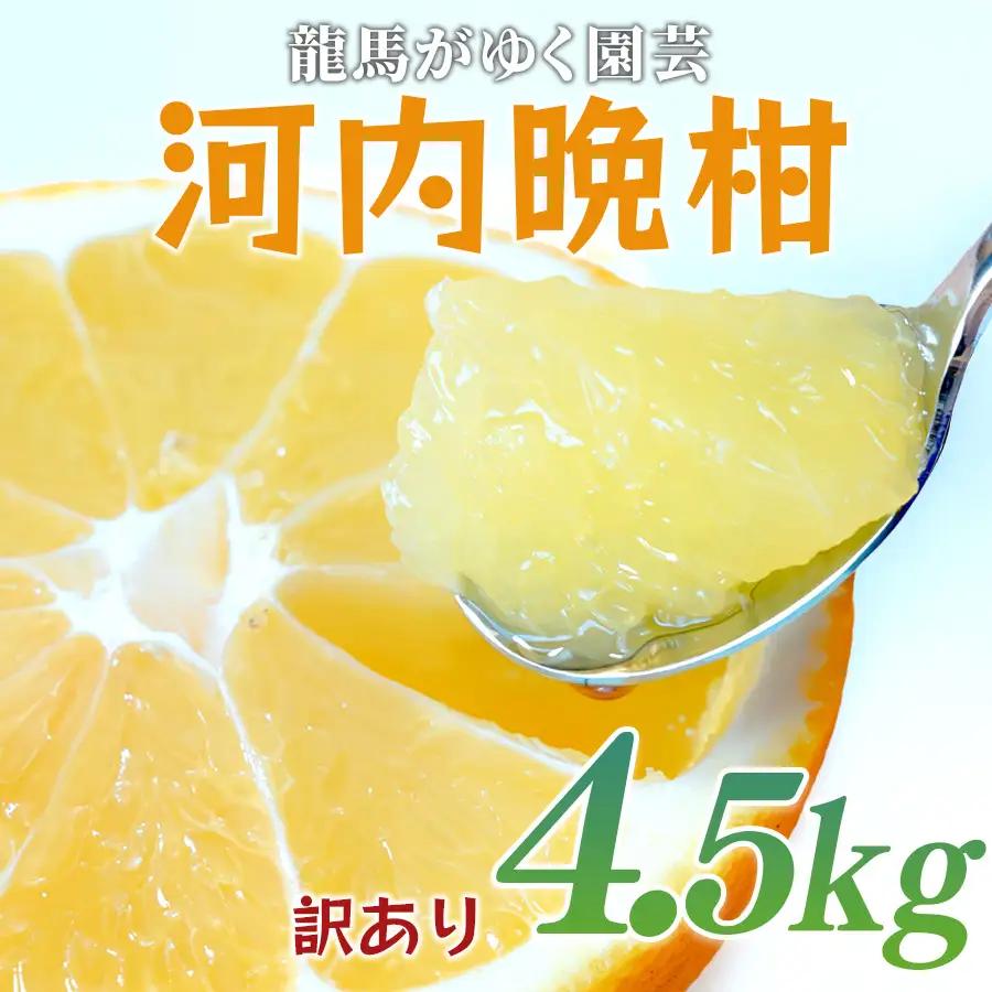 【訳あり】 河内晩柑 4.5kg （M?5L） ばんかん 晩柑 夏文旦 家庭用 みかん 柑橘