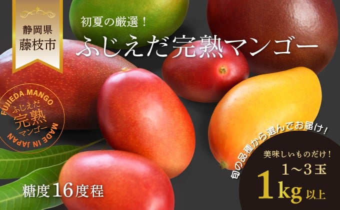 
            【 先行予約 : 2026年6月頃より順次発送 】 完熟マンゴー 1kg 糖度約16度程 厳選 フルーツ 果物 国産 数量限定 フルーツ トロピカルフルーツ アーウィン マハチャノック ナンドクマイ 紅キンコウ キーツ  静岡県 藤枝市
          