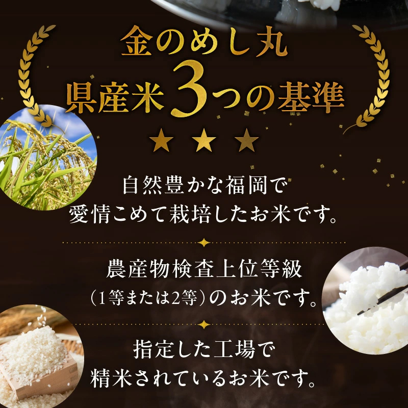 【無洗米】金のめし丸元気つくし 5kg（令和7年産米）_無洗米 4年連続 特A 金のめし丸 元気つくし 1袋 一粒一粒 しっかり つや 粘り 炊きたて ごはん 春夏秋冬 冷めても いつでも 美味しい 