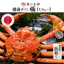 【ふるさと納税】冬の日本海の味　浜茹で【越前がに　極】11月～翌3月順次発送 [e56-x007]