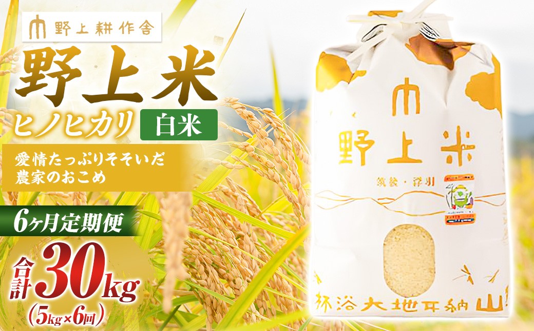 
            【6か月定期便】 白米 野上米 5㎏×6回 計30kg 【2025年10月下旬より発送予定】 ヒノヒカリ 米 こめ コメ お米 常温 国産
          
