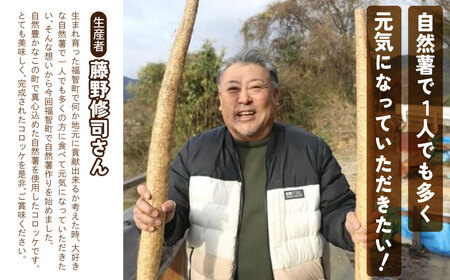 Y19-06 じねんじょコロッケ ジョロッケ 5個セット 自然薯 コロッケ