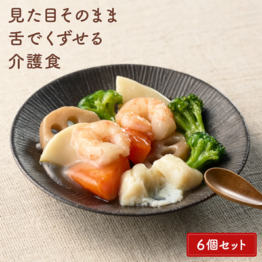 【ふるさと納税】噛めない お年寄り のために・ 摂食回復 支援食「あいーと」人気6品セット やわらか 惣菜 イーエヌ大塚製薬 中華あんかけ 甘酢あんかけ 豚の角煮 すき焼き風寄せ煮 ハンバーグ 筑前煮 五目ちらし ※10月より内容変更となります