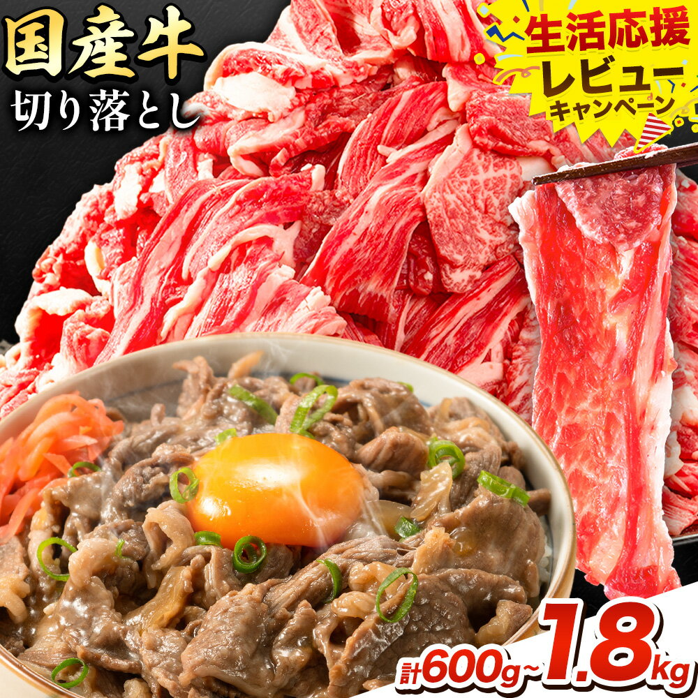 【ふるさと納税】【生活応援企画 実施中！】牛肉 肉 国産牛 切り落とし ホルスタイン 大容量 小分け 600g～1.8kg 1パック 300g 定期便 3ヶ月 6ヶ月 12ヶ月《出荷時期をお選びください》岡山県産 岡山県 浅口市 お肉 にく カレー 牛丼 切り落し 切落し 牛肉 小分け 生活応援