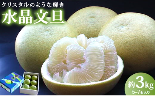 【希少】水晶文旦 文旦 高知 3kg ブランド文旦 先行受付 高知県香南市産 贈答 - 果物 文旦 ぶんたん ブンタン フルーツ 柑橘 香南市産 高知県 数量限定 期間限定 季節限定 旬 常温 ku-