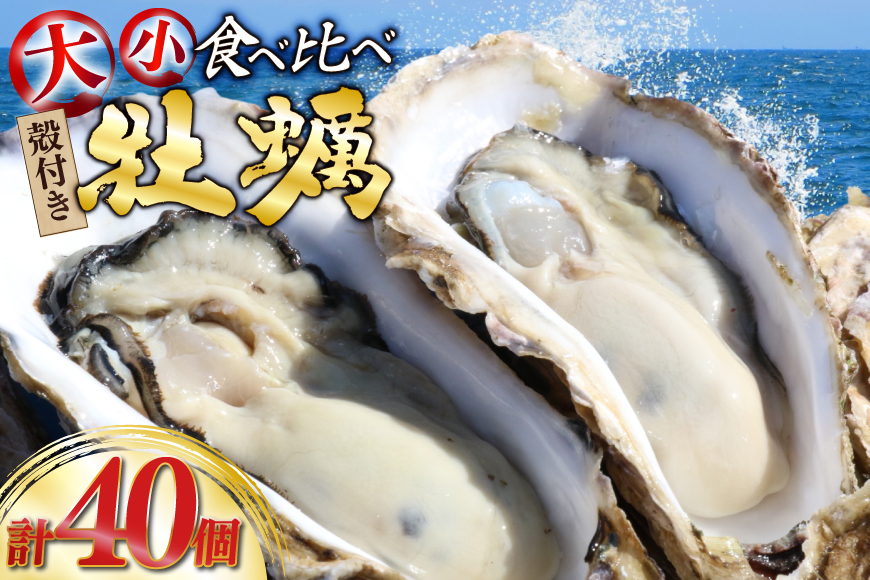 【期間限定発送】 殻付き 牡蠣 計40個 2種(三陸ジオイスター ＆ OMAKI ) 食べ比べ セット 各20個 牡蠣ナイフ付 [Geoyst 宮城県 南三陸町 m304bdz670001] かき カ