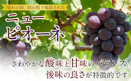 岡山県産 ぶどう 大粒 ニューピオーネ 1房（500～600g前後）農園直送 朝採れ