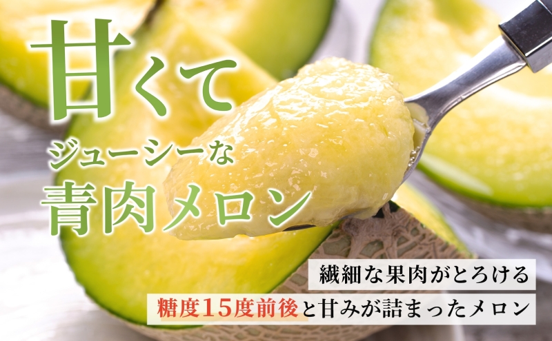 北海道産 有珠メロン 2玉 セット 青肉 Lサイズ 1.6kg以上×2玉 ツル付き グリーンメロン 果物 めろん フルーツ くだもの 完熟 旬 ご褒美 ギフト お祝い 産地直送 お取り寄せ 北海道 藤