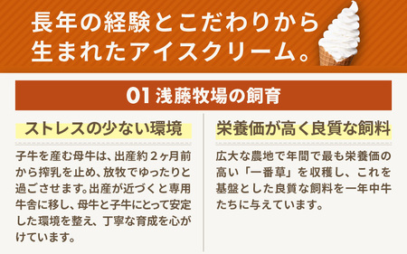 【先行予約】はんすうカップアイス バラエティパック A（6種類入）【2025年12月上旬より順次発送予定】【アイス ジェラート ひんやりスイーツ スイーツ デザート お菓子 洋菓子 詰め合わせ 食べ比