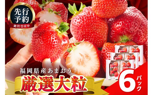 【2027年先行予約】あまおうボリュームセット(6パック)【044-0076】