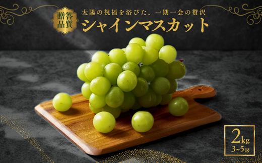 JAみなみ信州直送！シャインマスカット