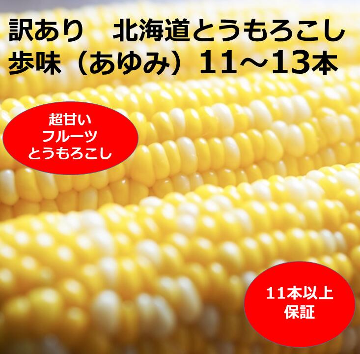 【ふるさと納税】訳あり とうもろこし 11~13本 歩味（あゆみ）バイカラーコーン 甘い とうもろこし 北海道 11本以上保証 数量限定 期間限定 トウモロコシ 送料無料